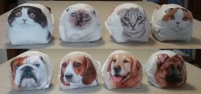 Fatto da voi: Cani, gatti e spicci